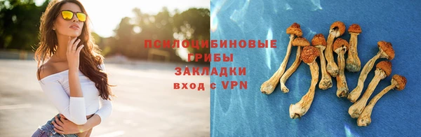 мяу мяу кристалл Бородино