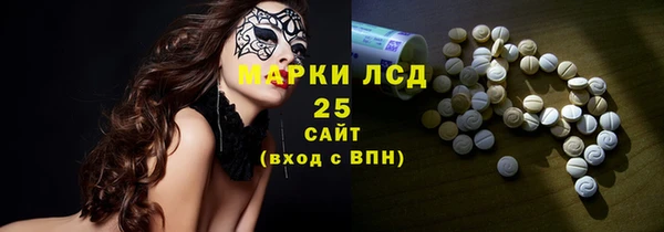 сатива Верея